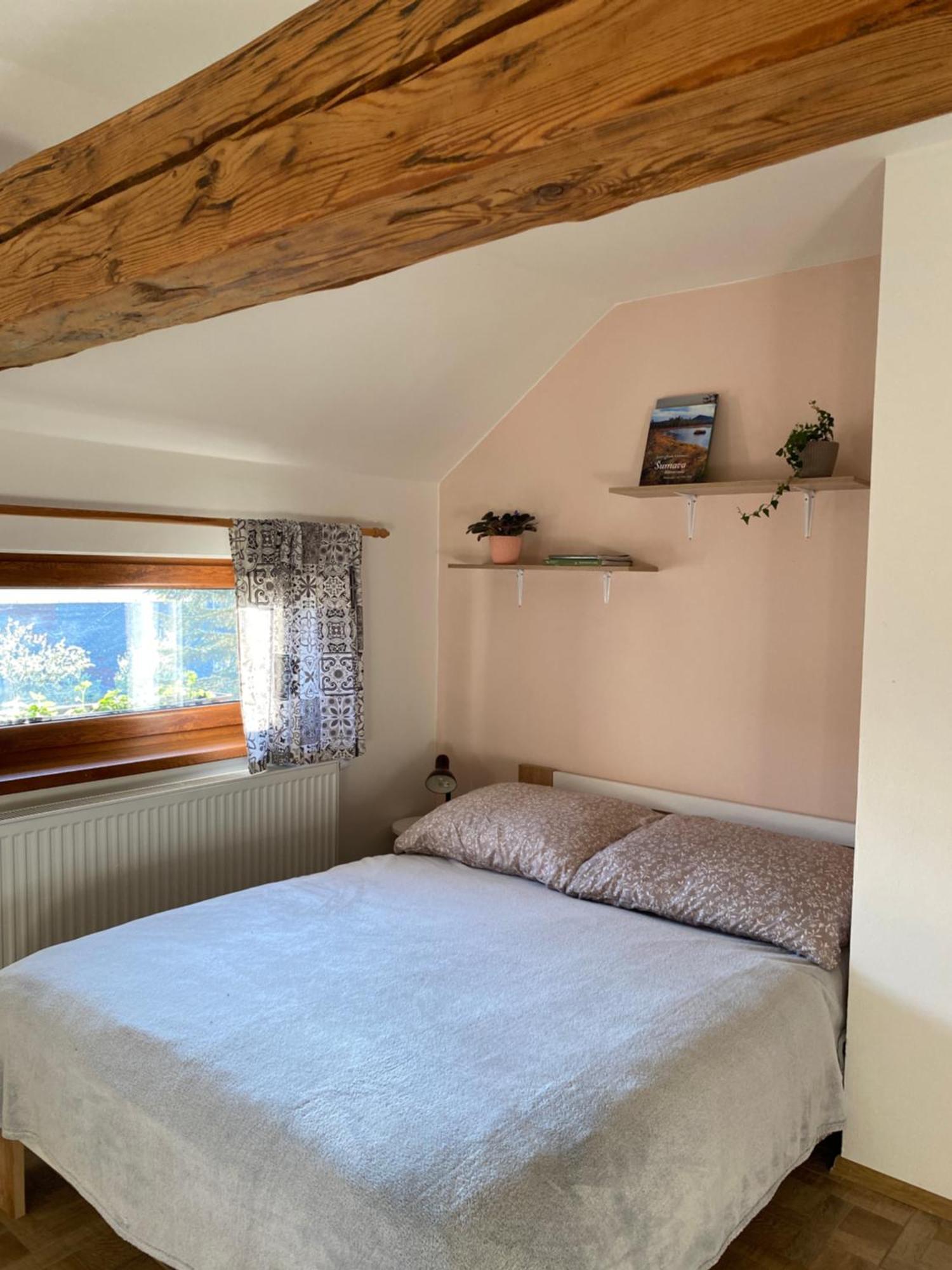 Apartman Na Vrsku Klenovice  Екстериор снимка